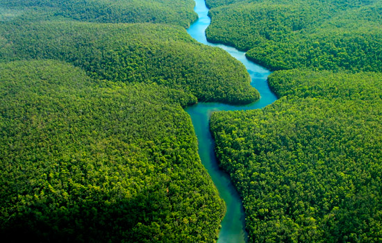 Peruvian Amazon