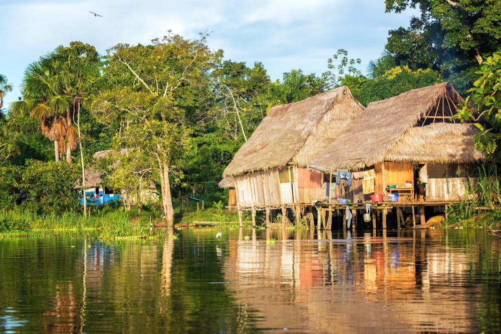 Amazon Jungle tour from Iquitos, 3 days in Heliconia Lodge