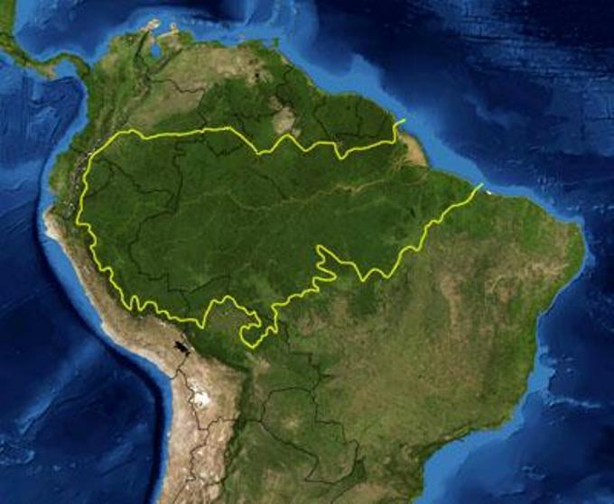 Джунгли Амазонии и река Амазонка в Перу