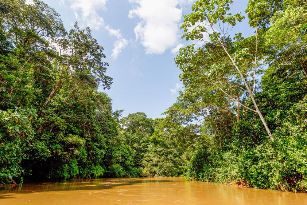 Экскурсия в джунгли Амазонии. Икитос, Перу