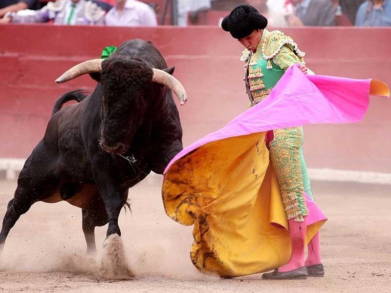 Lima bullfight