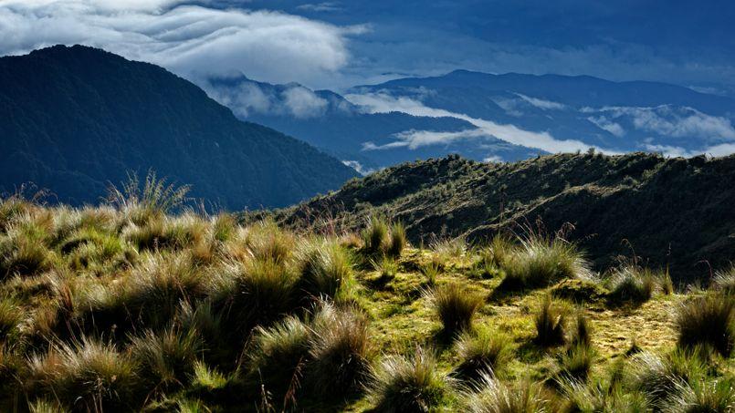 Manu National Park, points of interest Peru