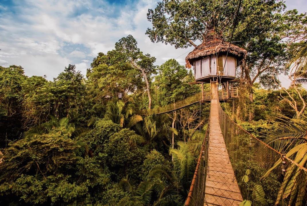 лодж Treehouse, Икитос / Iquitos Peru