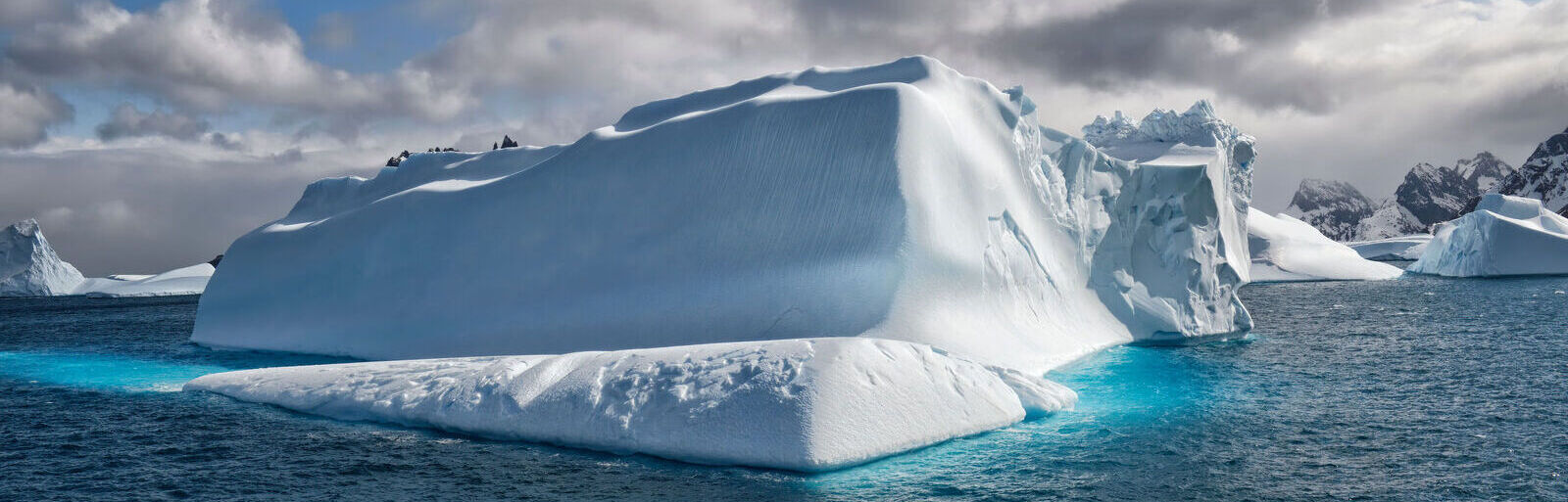 Антарктида - тур на Новый год и Рождество 2023/24 на судне бутик-отеле SH Diana