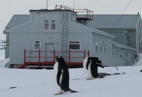 Антарктида – тур с русскими гидами на Новый год 2021/22
